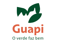 logo-guapi-2-200-150