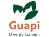 logo-guapi-200-150